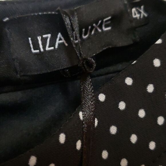🌹LIZA LUZE POlKA DOT DRESS SZ 4X - Picture 3 of 10